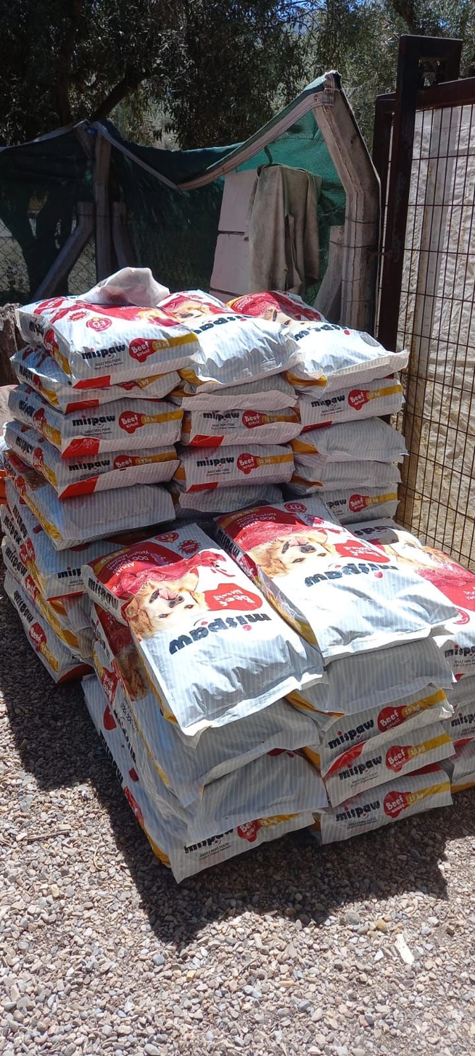 SOUL TO HELP ANIMALS e. V. - Tierschutzverein - Welpe