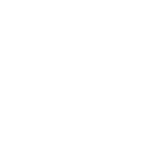 SOUL TO HELP ANIMALS e. V. - Tierschutzverein - Zoom-Symbol