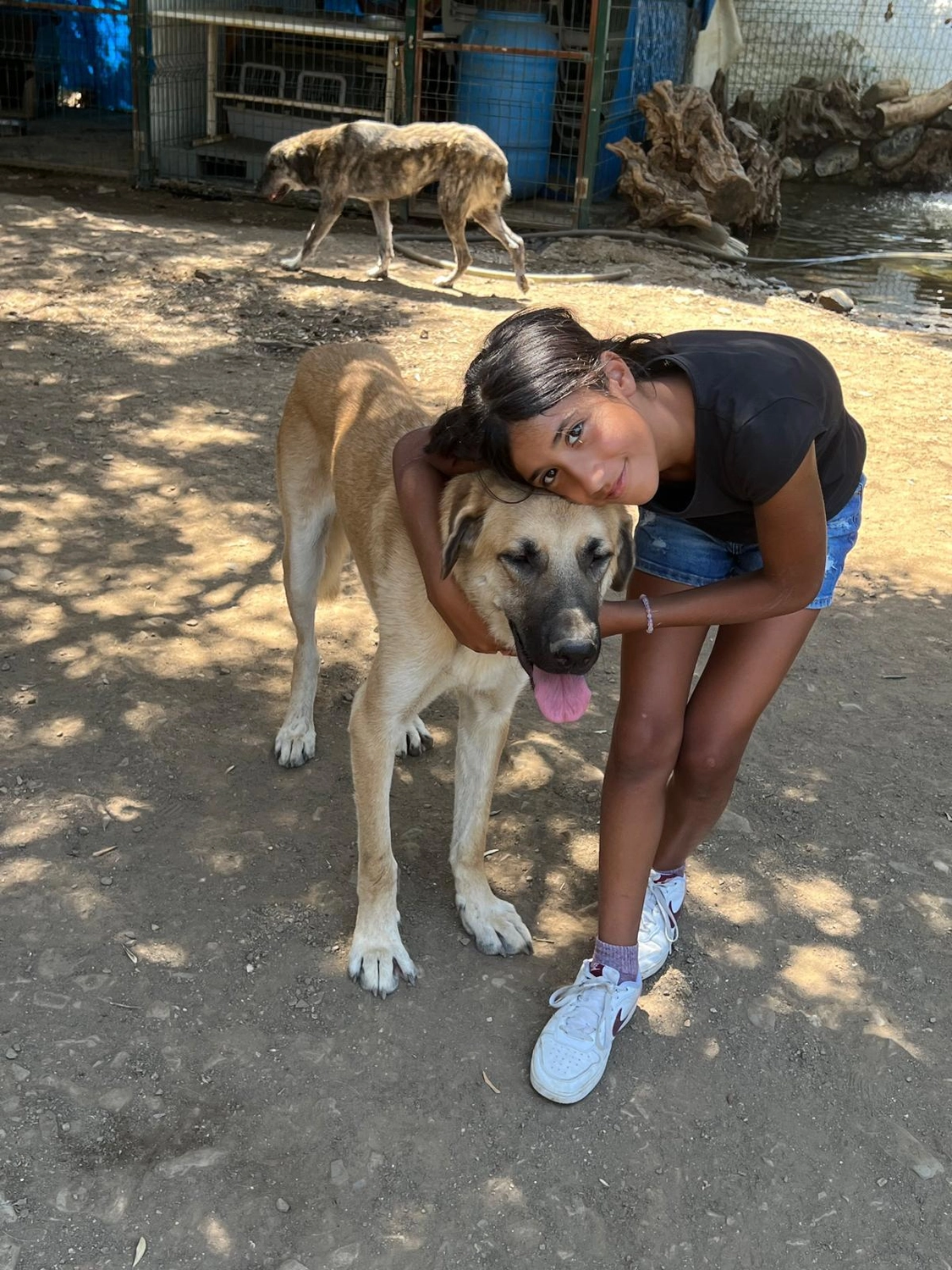 SOUL TO HELP ANIMALS e. V. - Tierschutzverein - ein Mädchen umarmt einen Hund