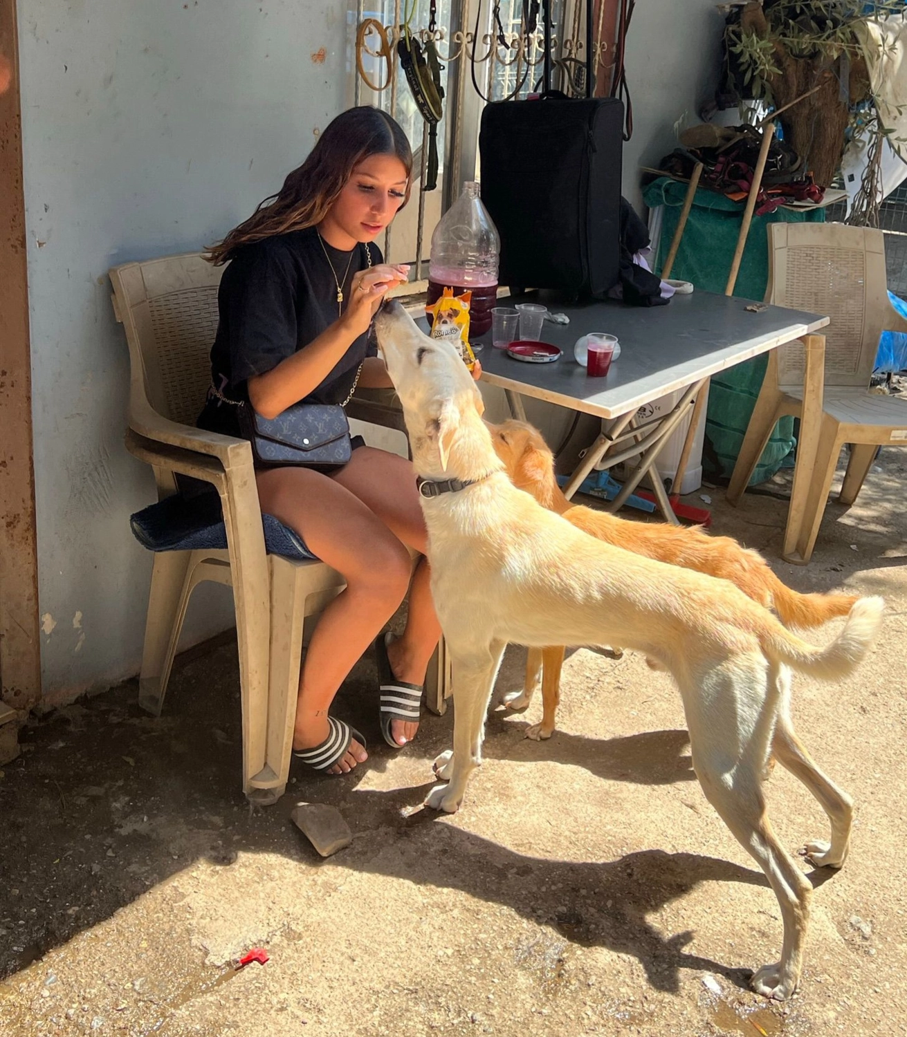 SOUL TO HELP ANIMALS e. V. - Tierschutzverein - Frau füttert Hund