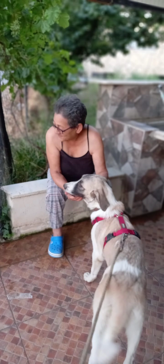 SOUL TO HELP ANIMALS e. V. - Tierschutzverein - Hund Maika