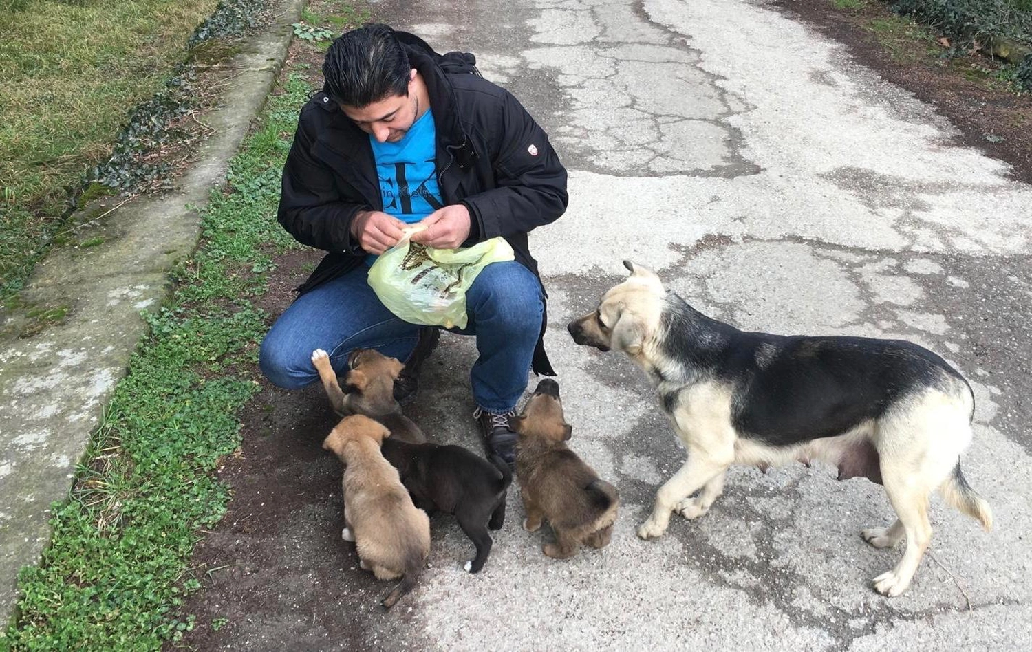 SOUL TO HELP ANIMALS e. V. - Tierschutzverein - Mann füttert Welpen